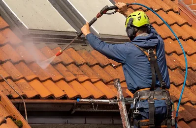 Démoussage et hydrofuge de toiture à Bompas